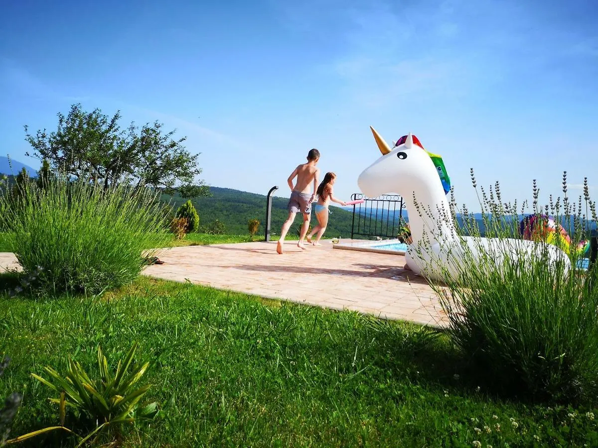 Ferienhaus Home Andrea With Infinity Salty Pool Roč Kroatien